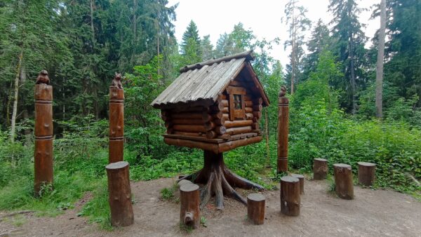 Лесные сказки